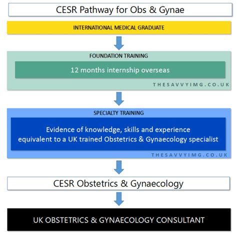 uk ob gyn.